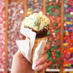 How to Choose the Best Ice Cream Franchise for Your Market