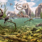 Discover Ice Age Fossils State Park _ This Must-Visit State Park!